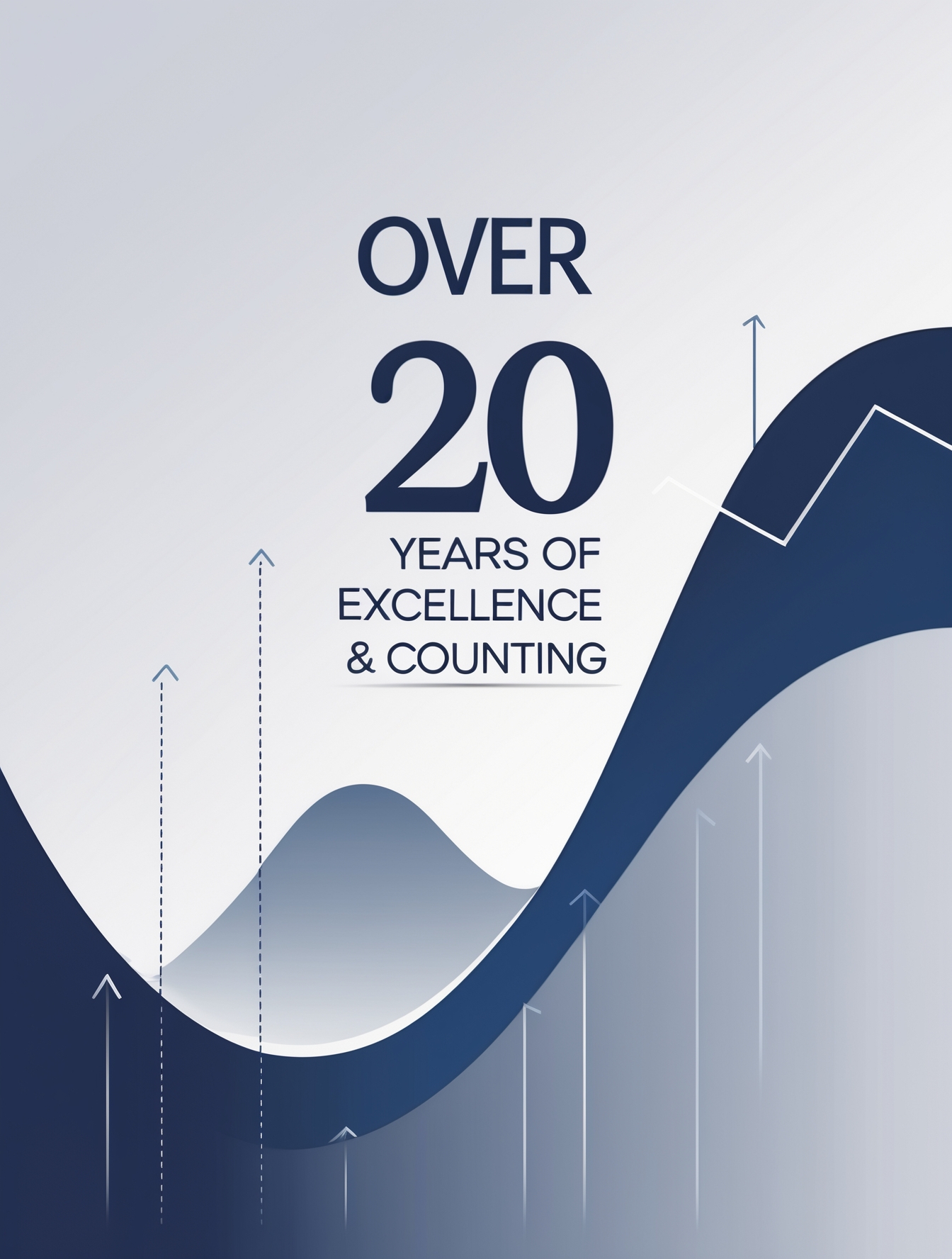 20 Years of Experience